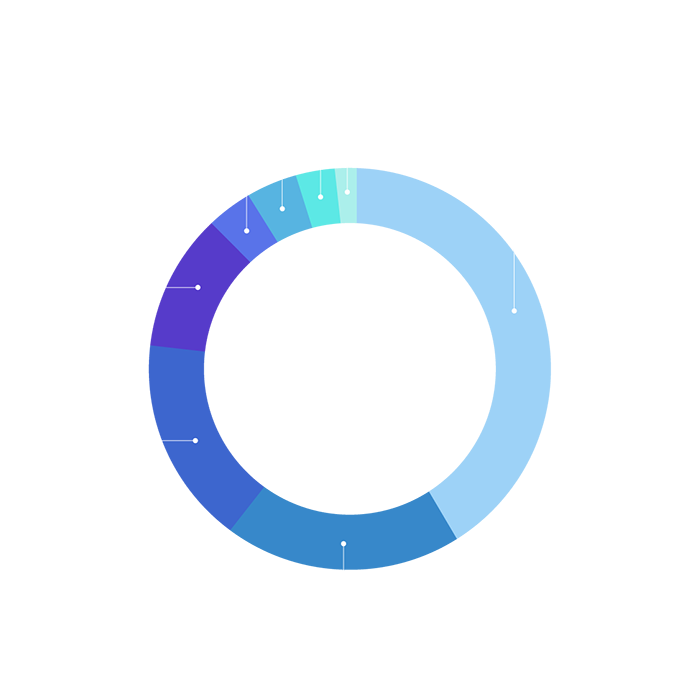 IPVERSE’s Token Allocation 원 그래프