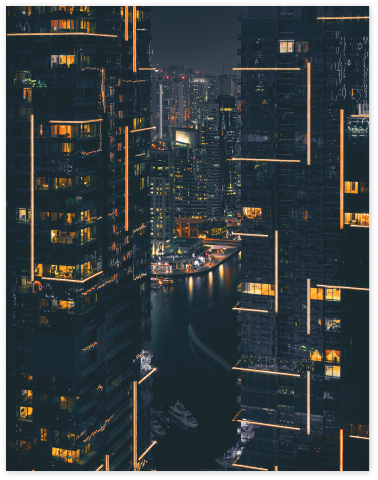 IPV Token 활용 관련 이미지