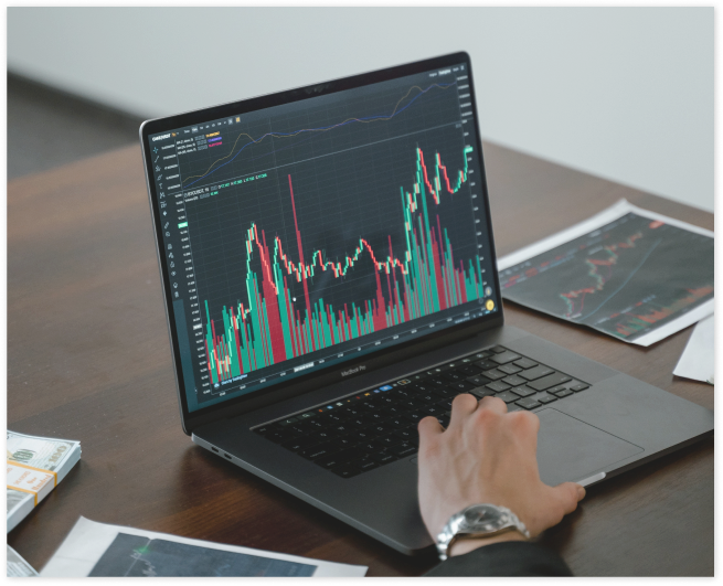 IPV Token 활용 관련 이미